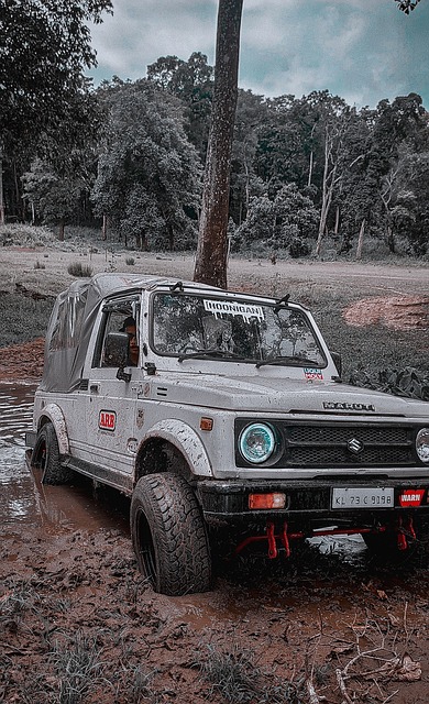 广泛的关注 广泛的关注