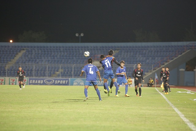 他们都展现 他们都展现