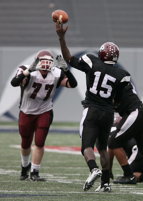 球队的整体 球队的整体