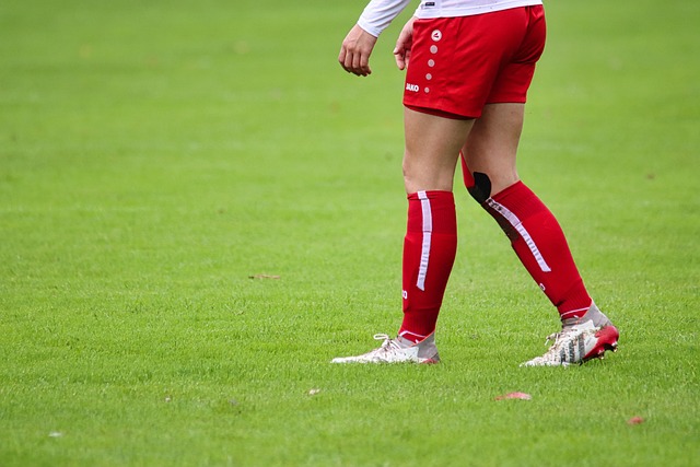 也提供了对 也提供了对