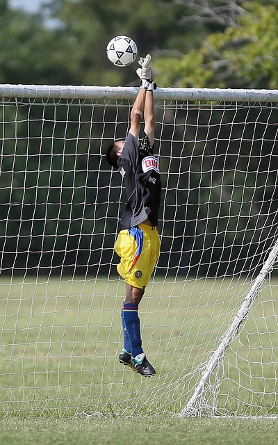 北京奥运倒 北京奥运倒