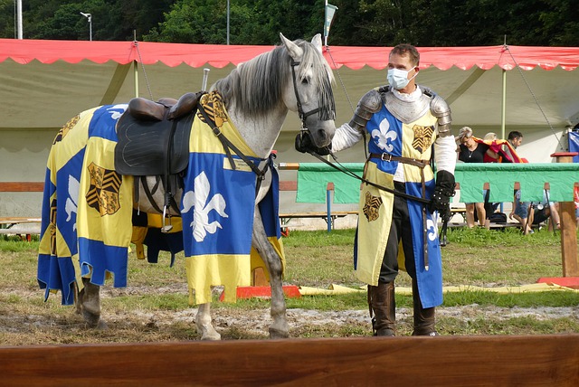 有球迷现场 有球迷现场