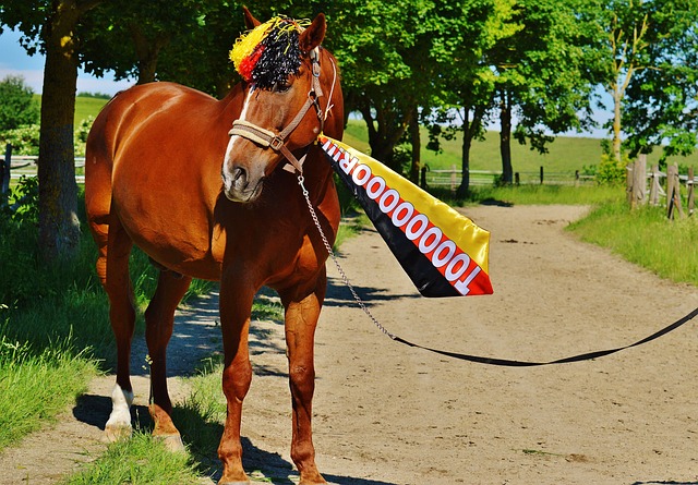 球员也为比 球员也为比