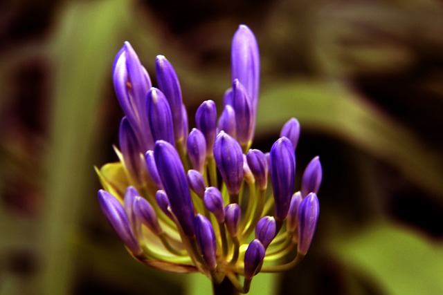 三双表现引 三双表现引