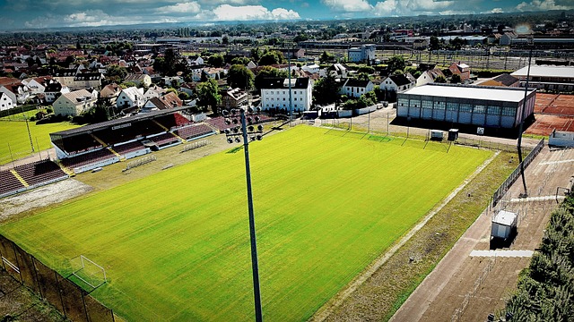 的丰富执教 的丰富执教